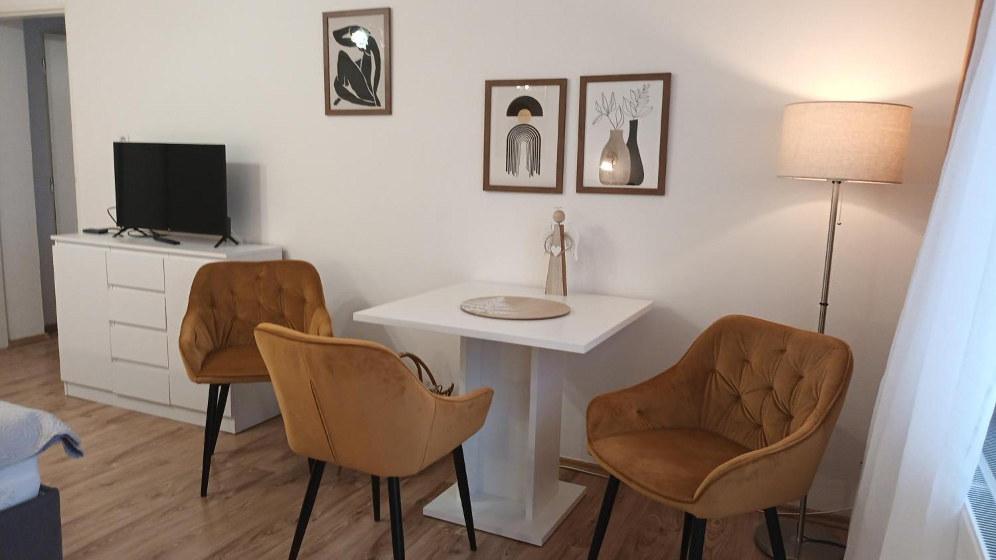 Apartment Alena Karlovy Vary